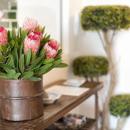 Serrão Apartamento Funchal (Madeira)